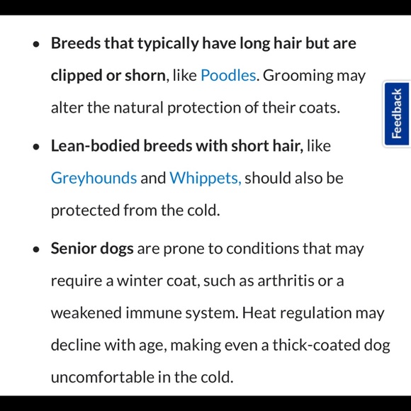 Does Your Dog Need a Winter Coat? ❄️🐶❄️🐶❄️🐶 - Picture 4 of 5